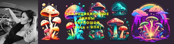 бошки Гусиноозёрск