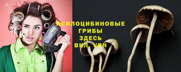 бошки Гусиноозёрск