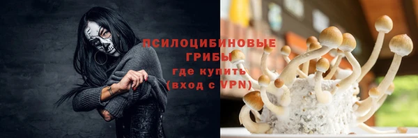 mdpv Гусев