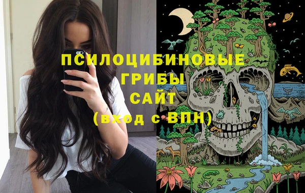 бошки Гусиноозёрск