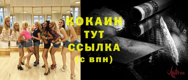 mdpv Гусев